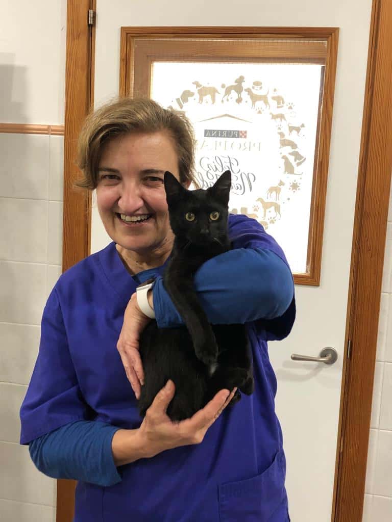 Clínica Veterinaria Es Pla - Porreres