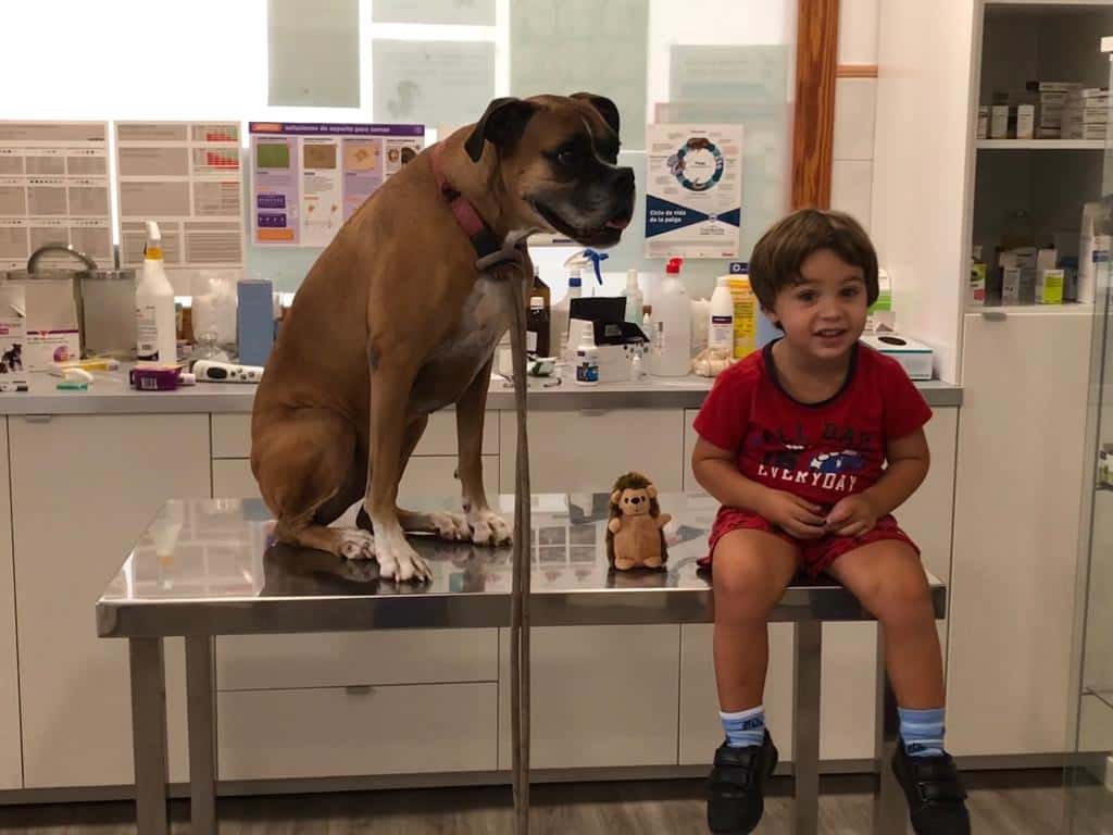 Clínica Veterinaria Es Pla - Porreres