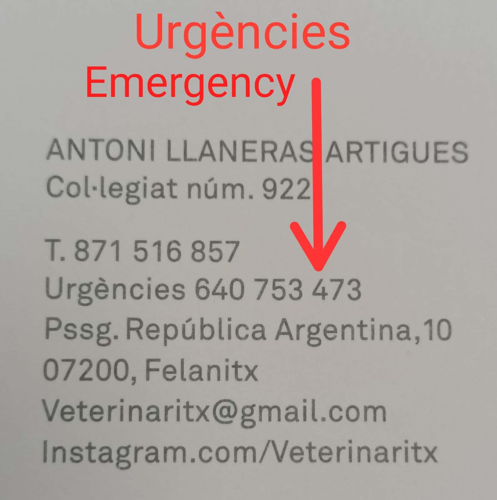 Veterinàritx Clínica veterinària