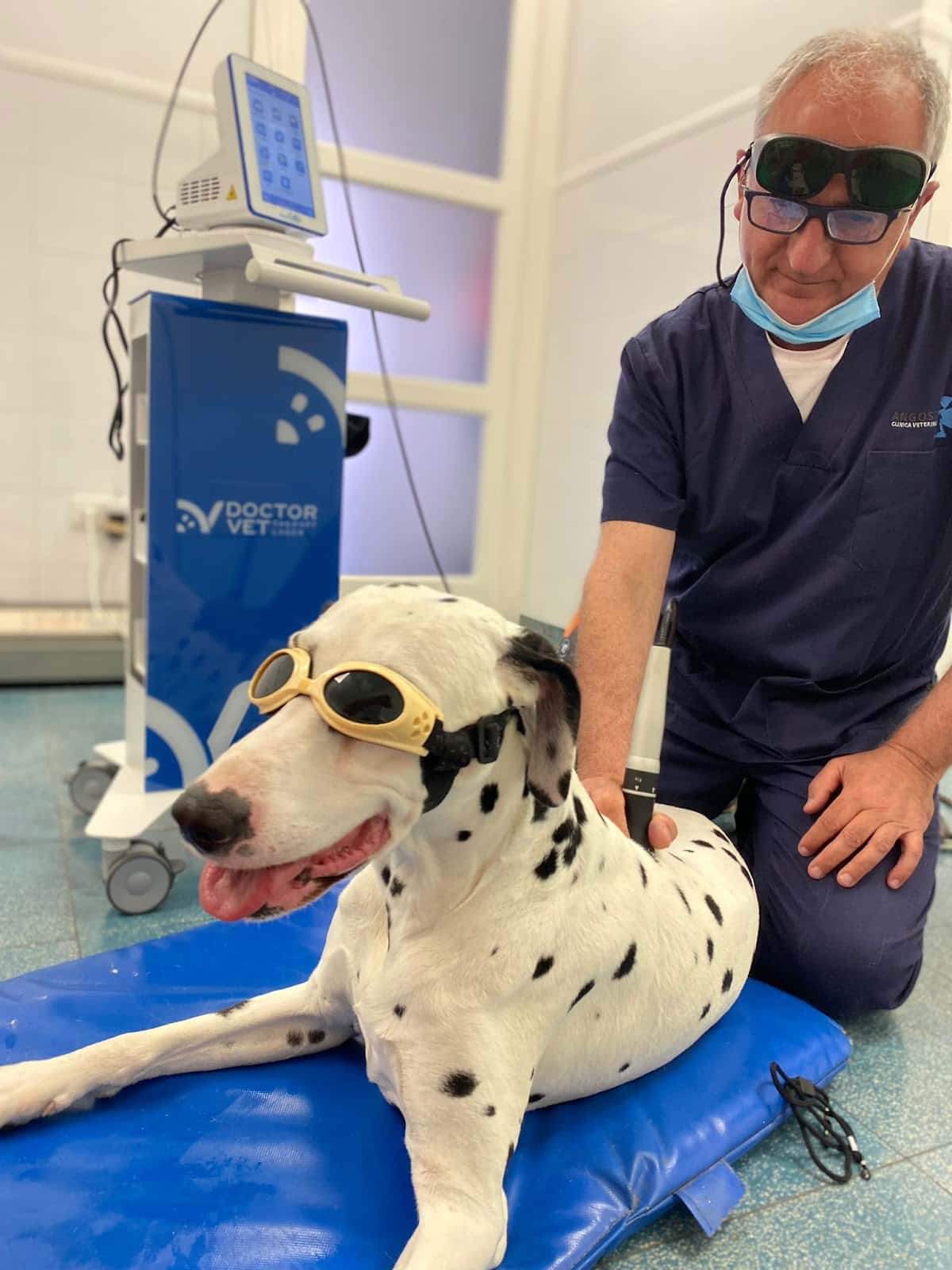 Clínica veterinaria José Angosto