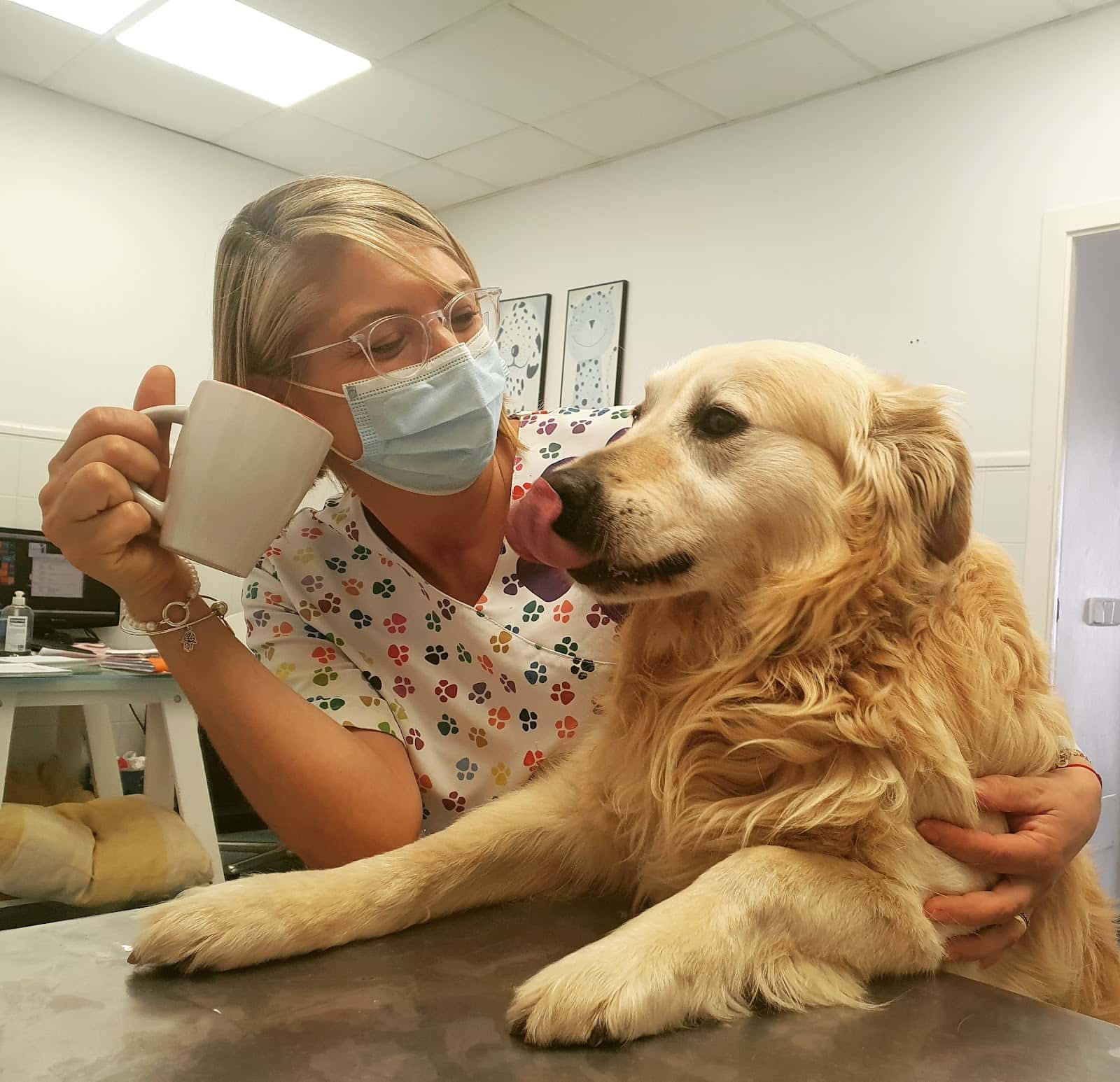 clinica veterinaria jose angosto veterinario clinica en felanitx en illes balears principalImage ADOPTA Sitios Pet Friendly
