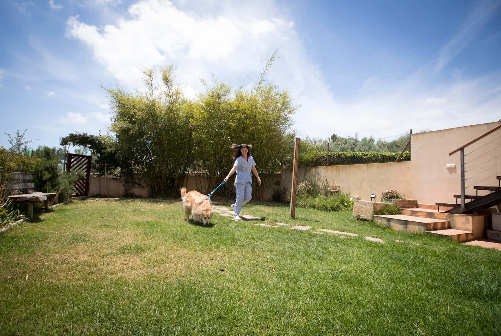 Animals! Serveis Veterinaris