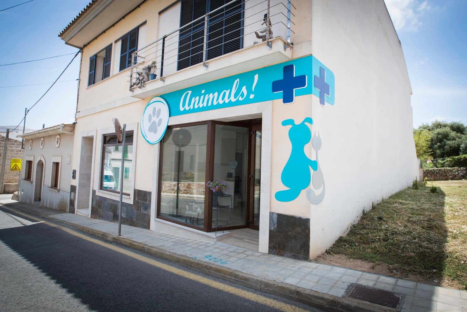 animals  serveis veterinaris veterinario centro en s alqueria blanca en illes balears photo undefined ADOPTA Sitios Pet Friendly