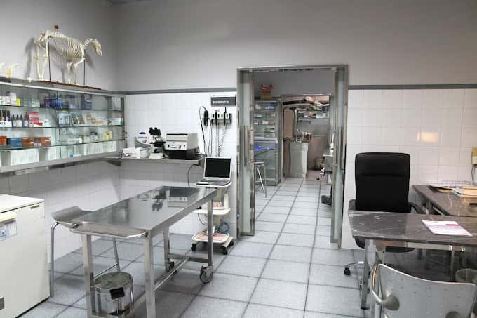 Balmes Hospital Veterinari