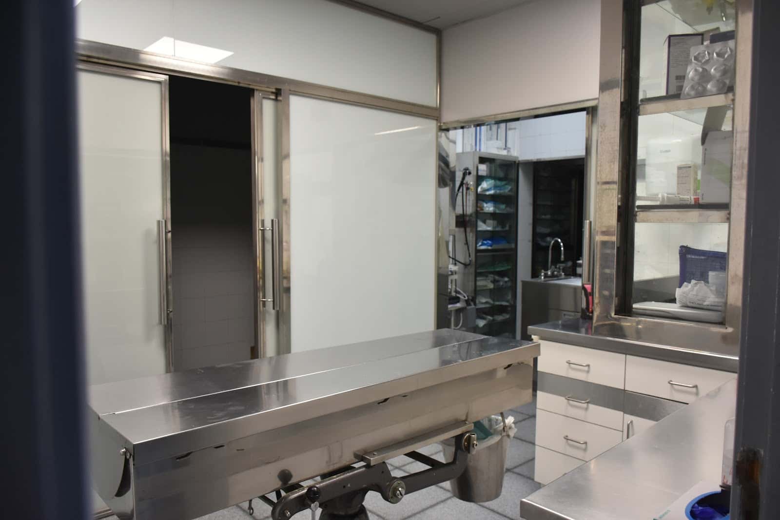 Balmes Hospital Veterinari