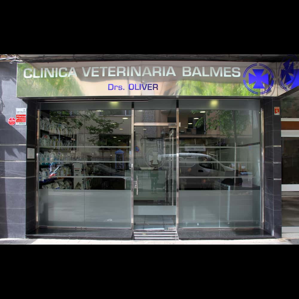 balmes hospital veterinari veterinario hospital en palma en illes balears principalImage ADOPTA Sitios Pet Friendly