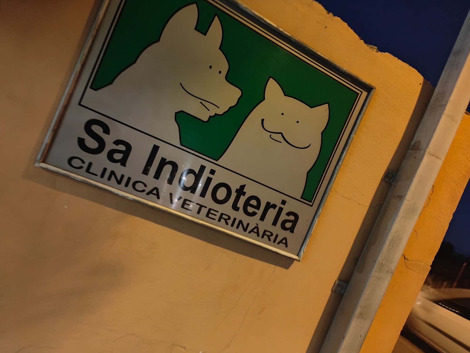 Sa Indioteria Clinica Veterinaria