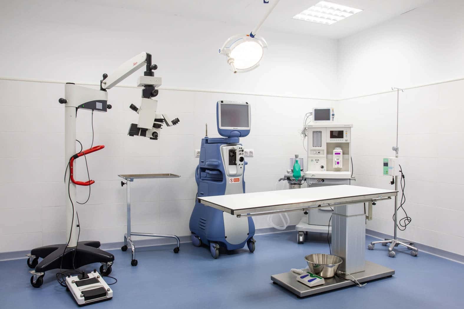 memvet   centre de referencia veterinaria veterinario centro de referencia en palma en illes balears principalImage ADOPTA Sitios Pet Friendly
