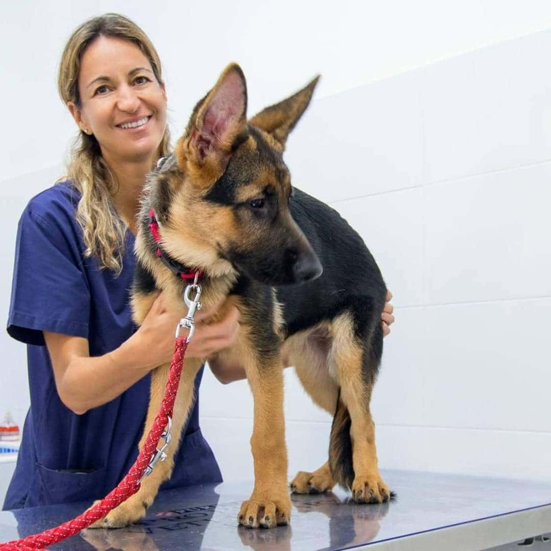 Clínica Veterinària Foners
