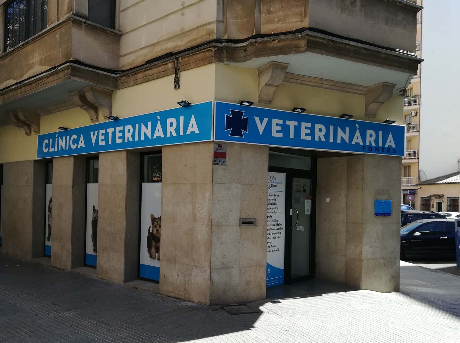 clinica veterinaria foners veterinario clinica en palma en illes balears principalImage ADOPTA Sitios Pet Friendly
