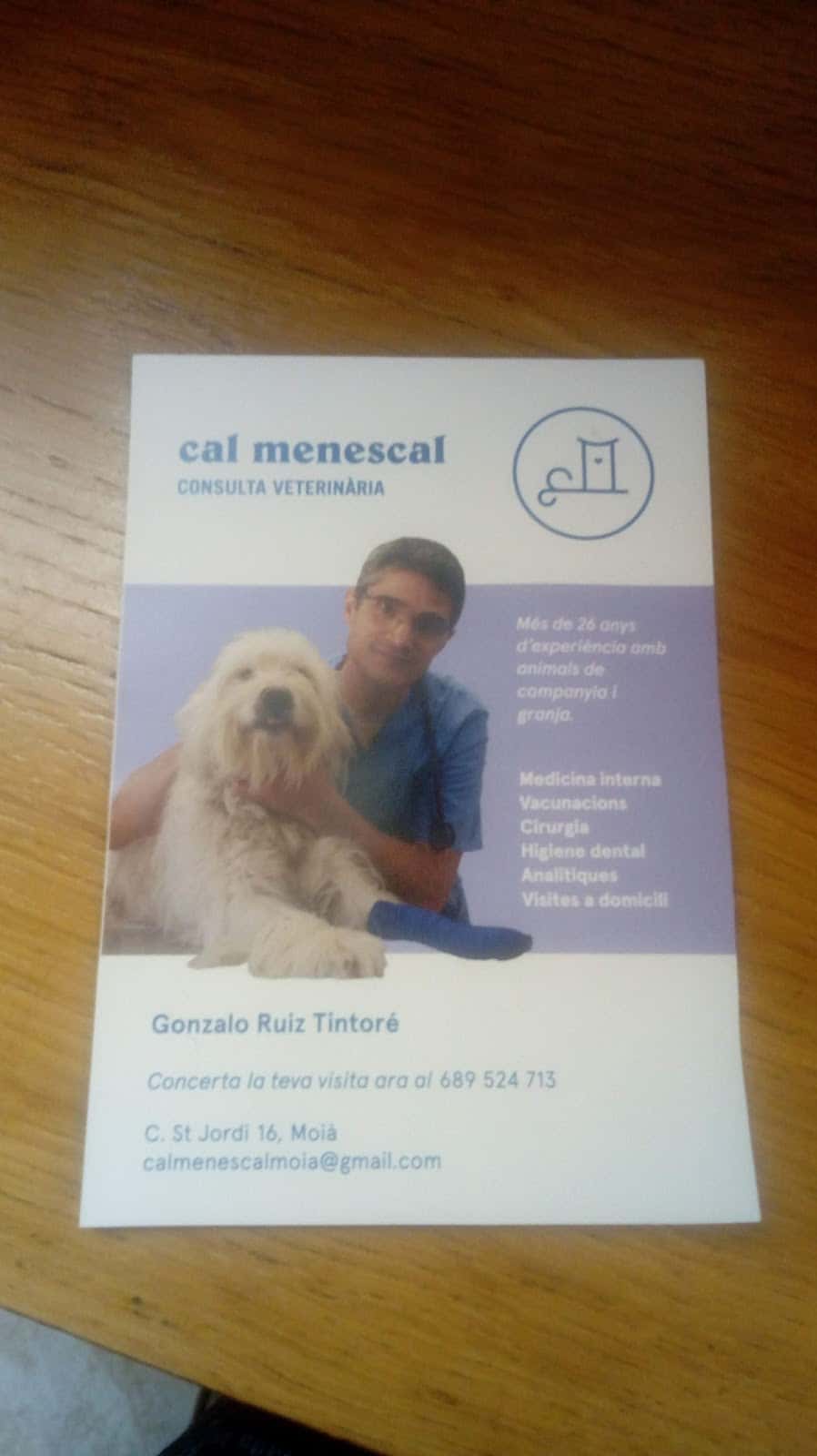 consulta veterinaria cal menescal veterinario centro en moia en barcelona principalImage ADOPTA Sitios Pet Friendly