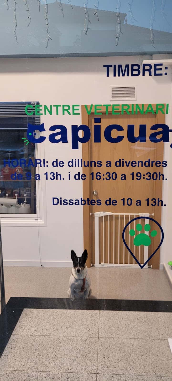 capicua veterinario centro en sant feliu de codines en barcelona principalImage ADOPTA Sitios Pet Friendly