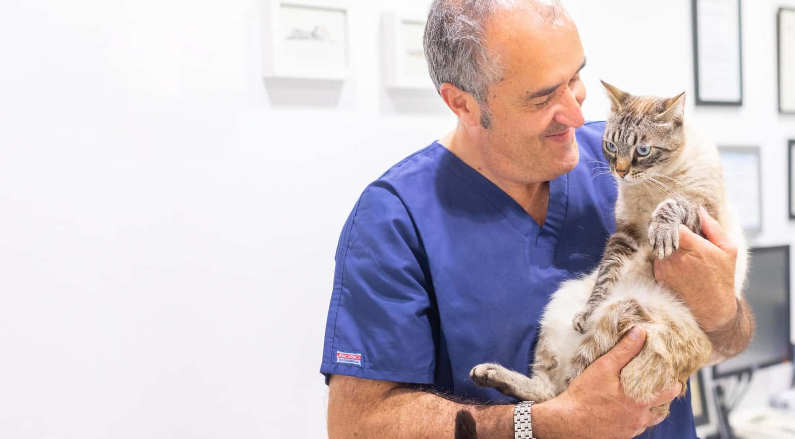Clínica Veterinària Marcel Gustà