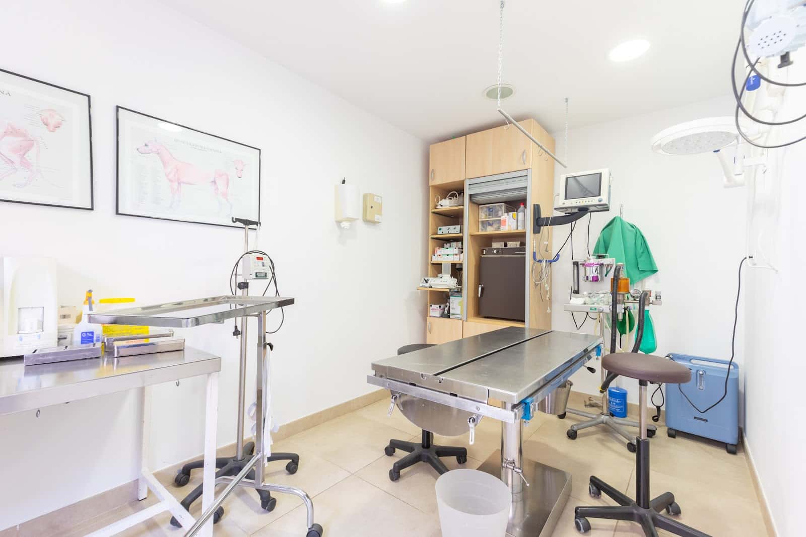 Clínica Veterinària Marcel Gustà