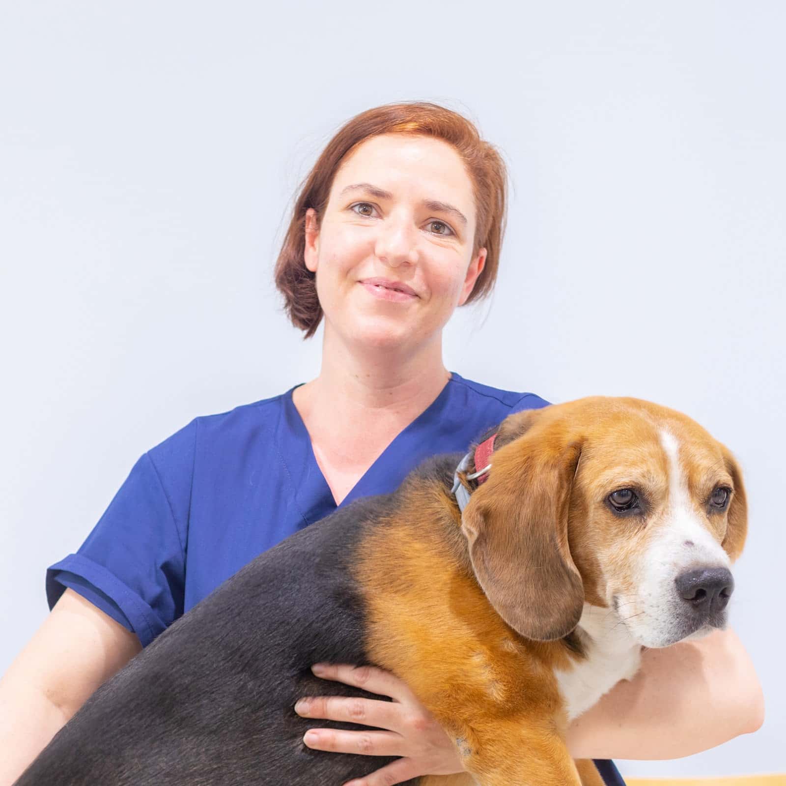 clinica veterinaria marcel gusta veterinario clinica en la garriga en barcelona principalImage ADOPTA Sitios Pet Friendly
