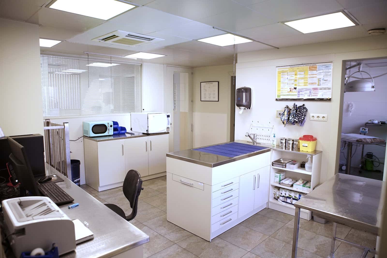 clinica veterinaria la plana veterinario clinica en tona en barcelona principalImage ADOPTA Sitios Pet Friendly