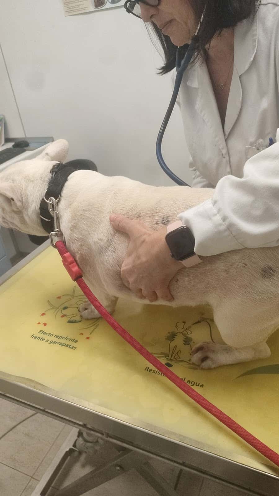 Hostalets Veterinaria