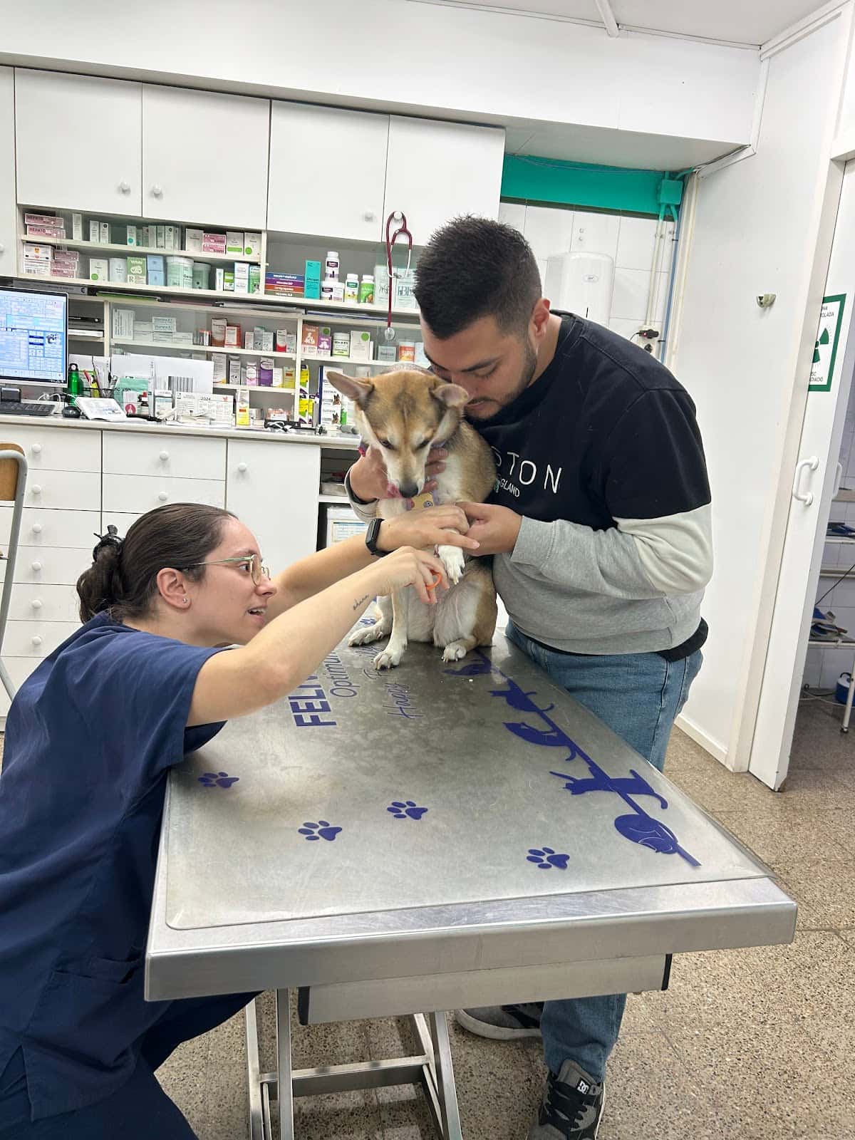 clinica veterinaria veterinario clinica en rubi en barcelona principalImage ADOPTA Sitios Pet Friendly