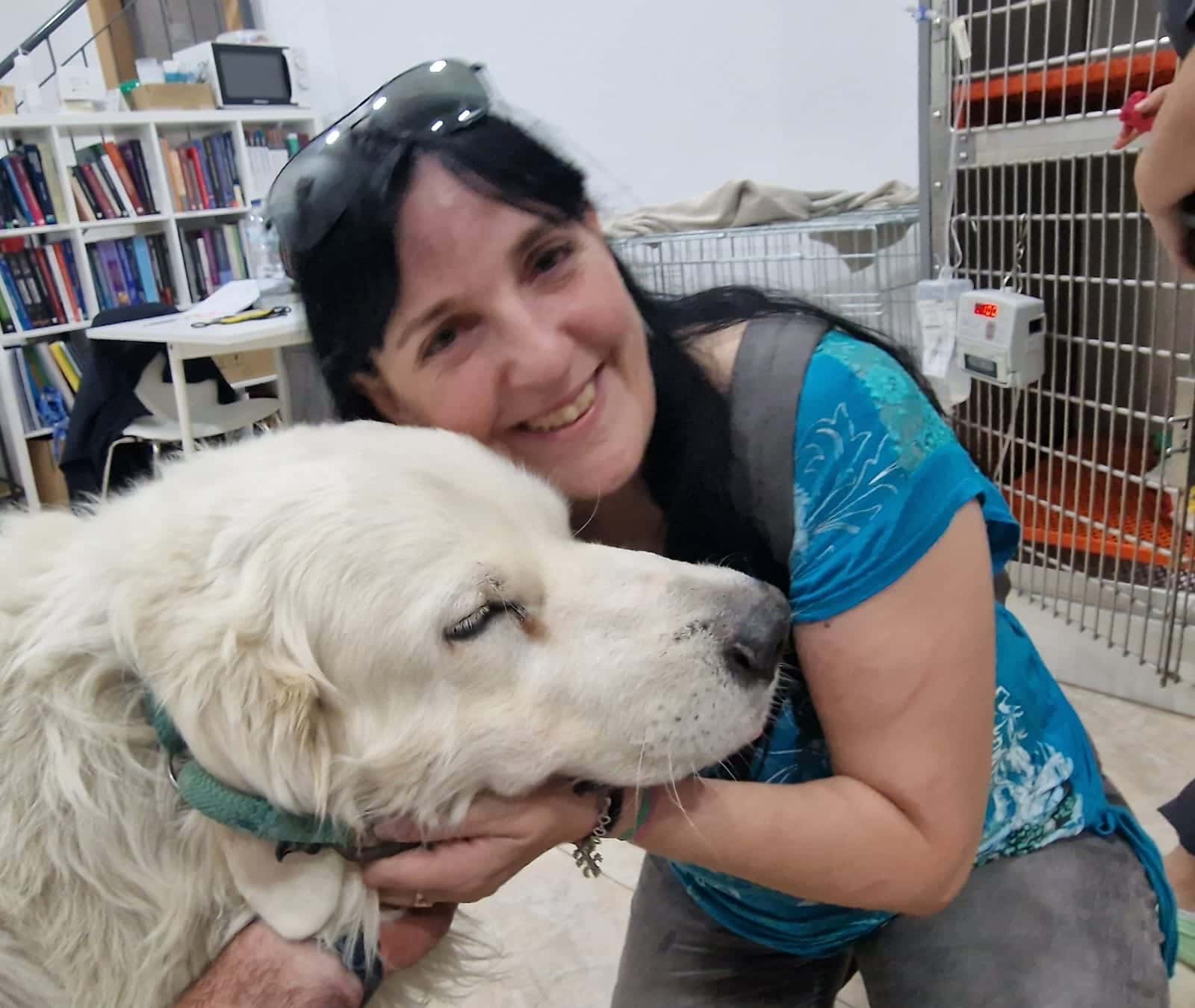 Olesa Veterinaria