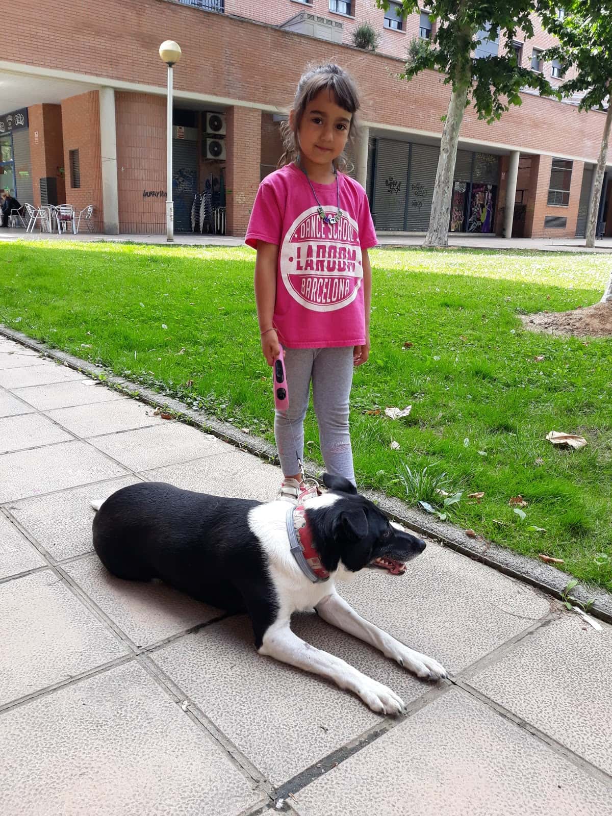 Clínica Veterinària Quisso