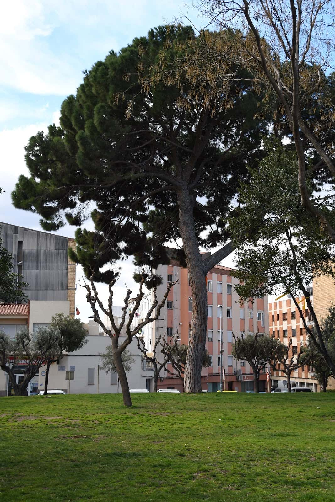 Centre Veterinari El Parc d'Olesa