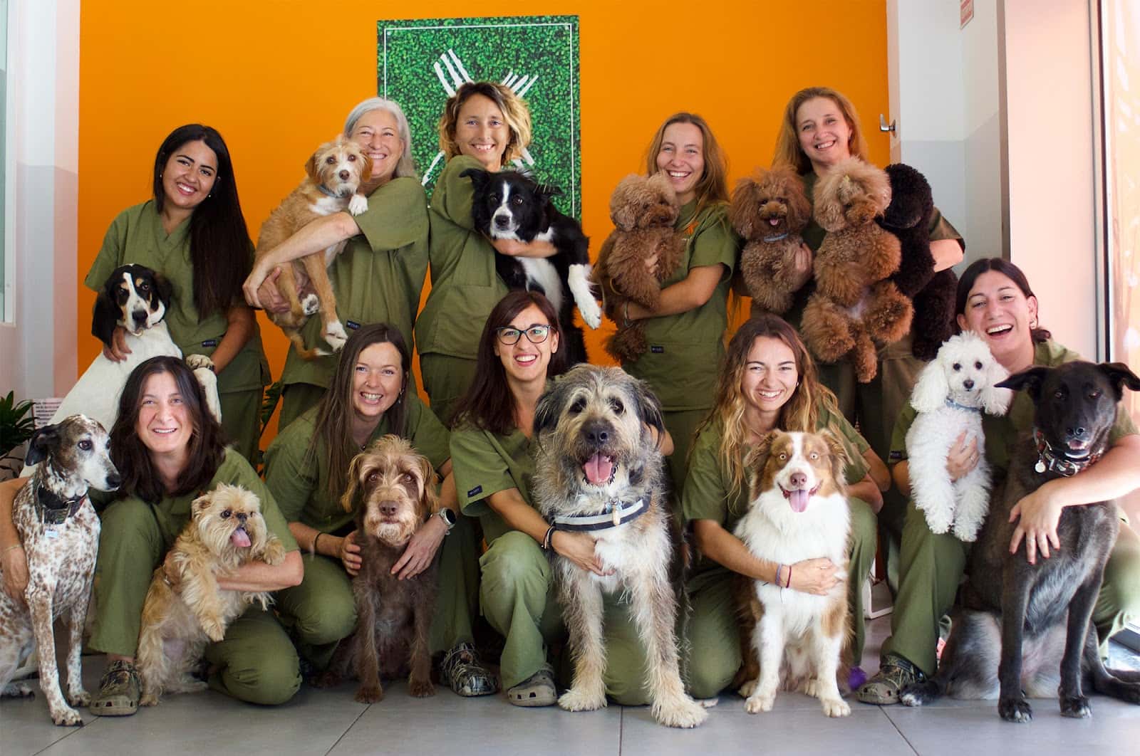 Bitxos Veterinaris