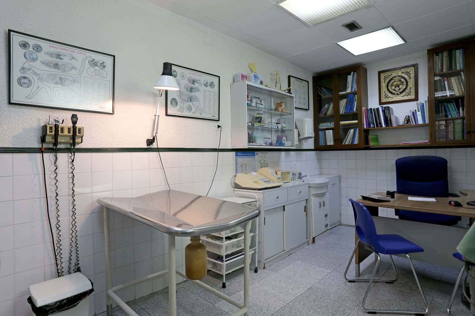 Clínica Veterinària Badalona