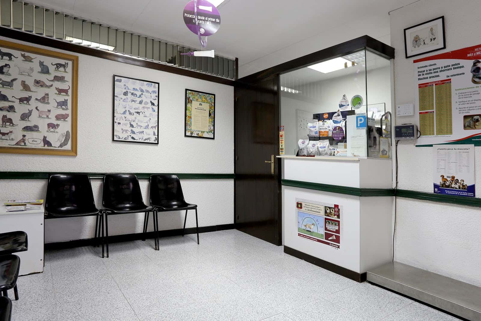 Clínica Veterinària Badalona