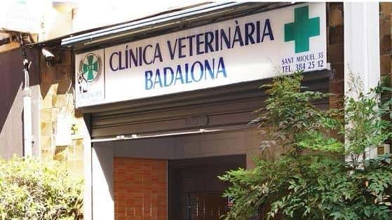 clinica veterinaria badalona veterinario clinica en badalona en barcelona photo undefined ADOPTA Sitios Pet Friendly