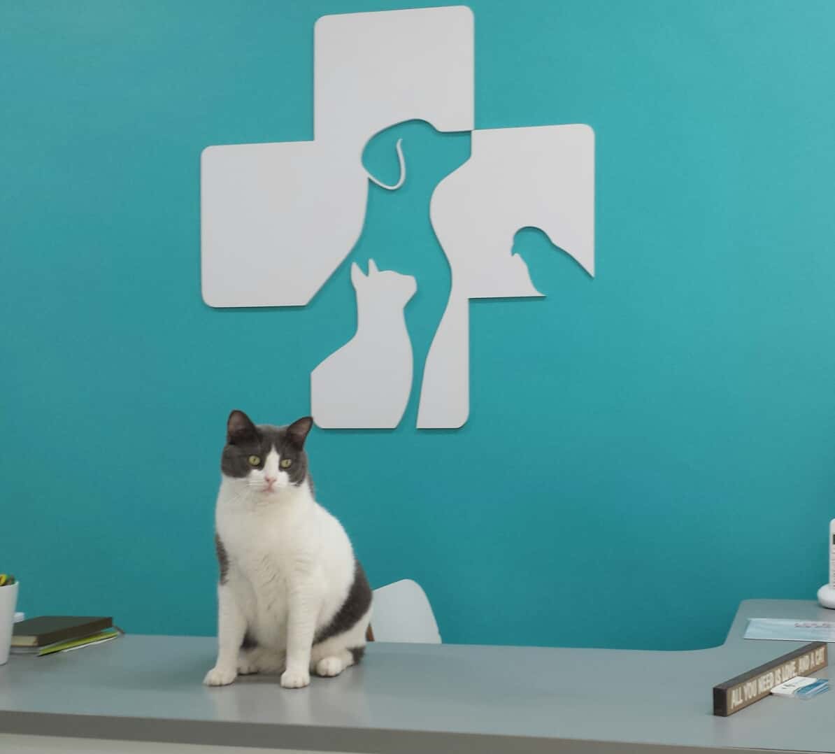 Centro Veterinario La Riera
