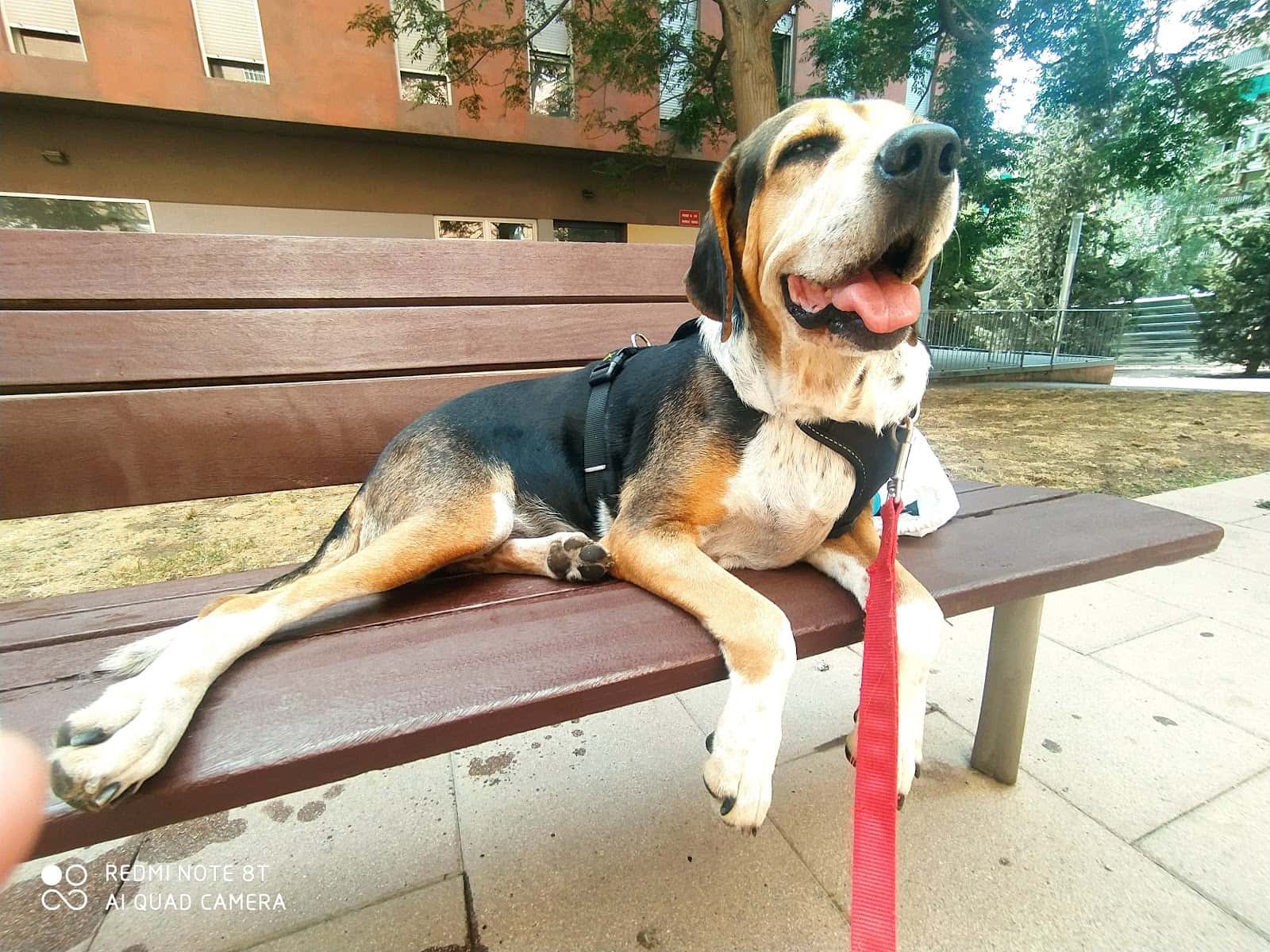 Centre Veterinari Porta