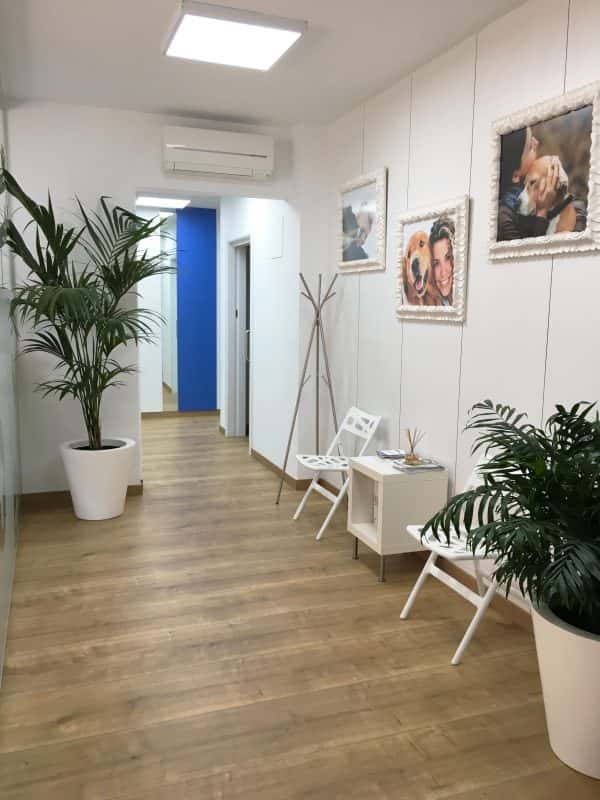 Anoia Veterinaria Esparreguera