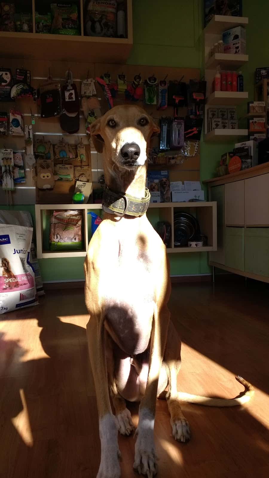 Veterinària El Papiol