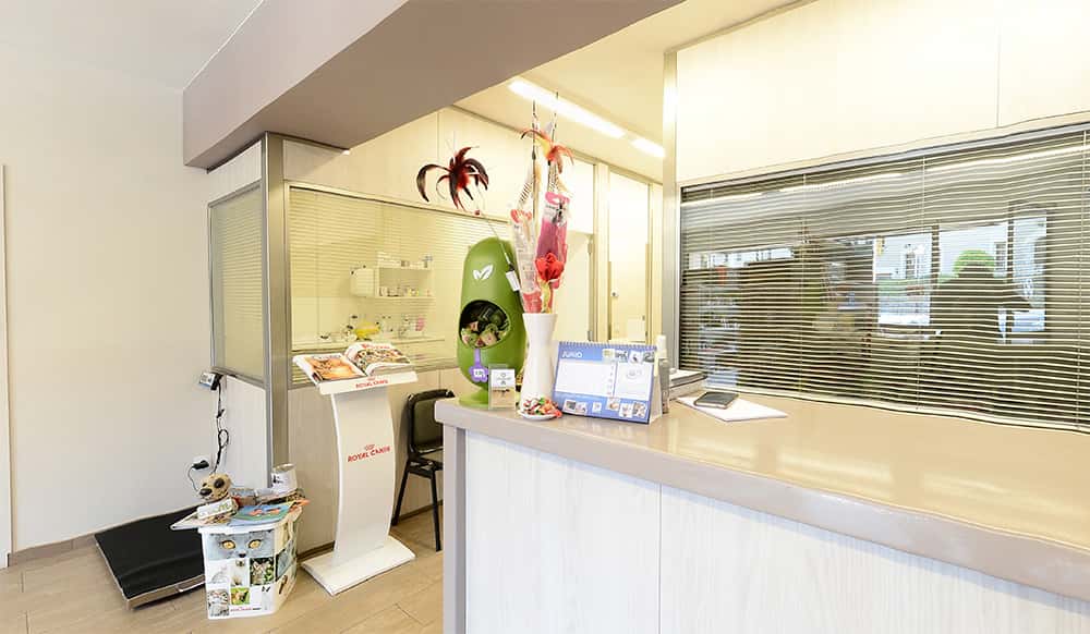 Vetcastell Centro Veterinari