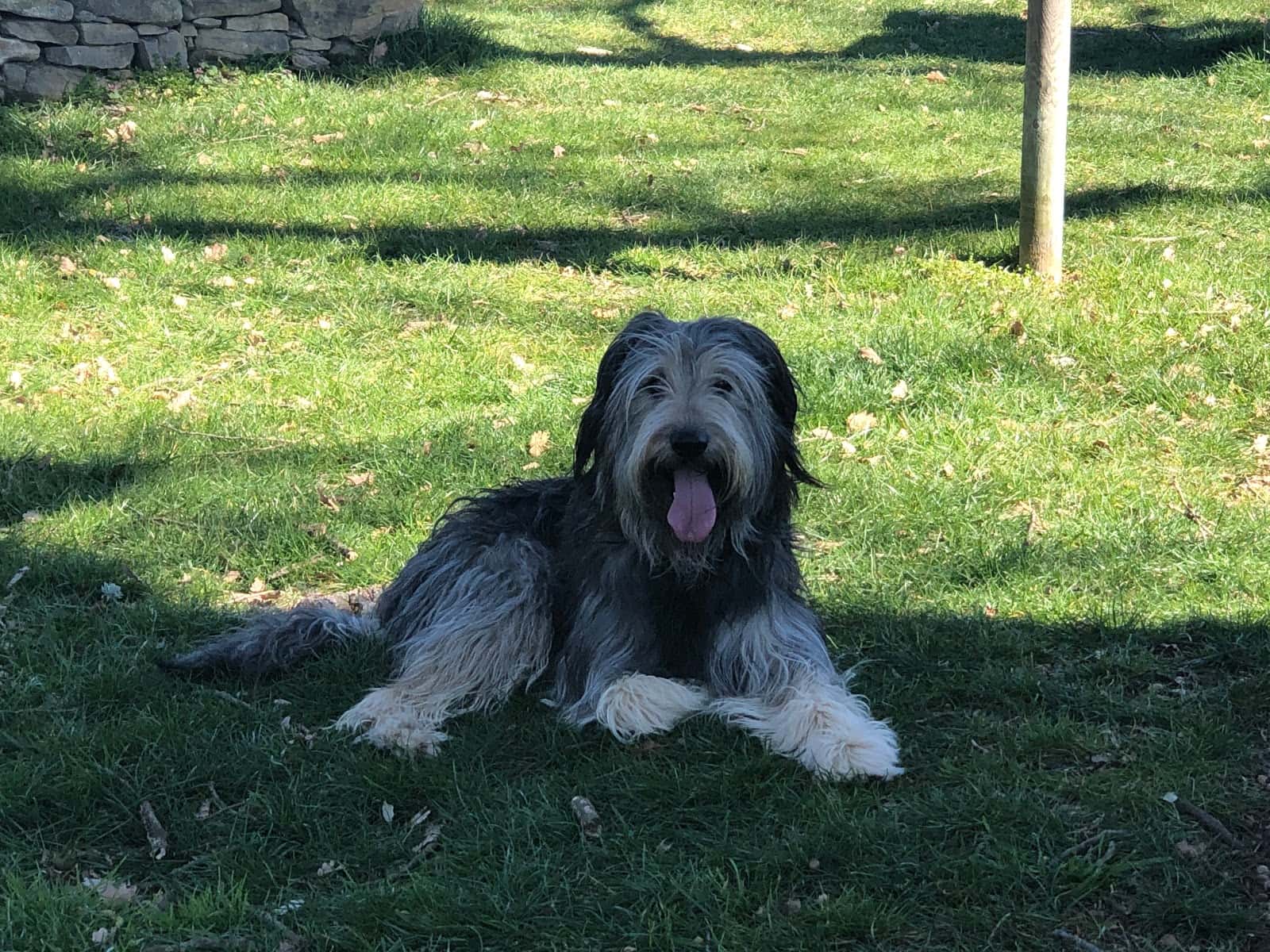 Pratdesaba Veterinaris Taradell