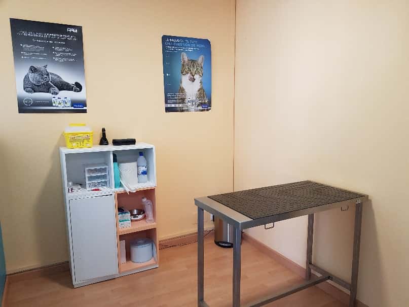 Veterinarios Servivetdivertperros