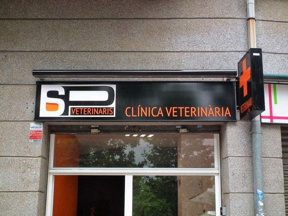 santa perpetua veterinaris veterinario centro en santa perpetua de mogoda en barcelona photo undefined ADOPTA Sitios Pet Friendly