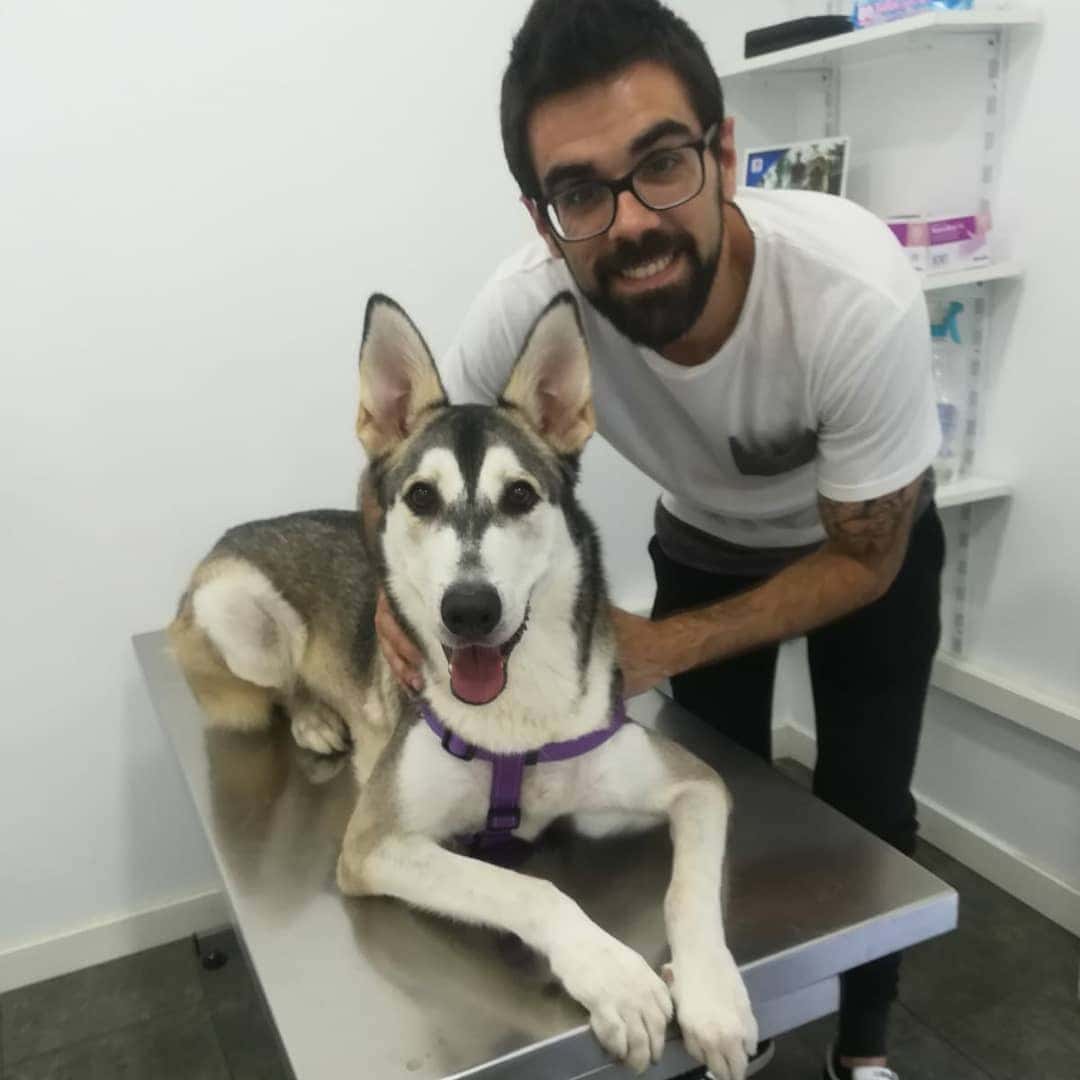 Fost Veterinarios