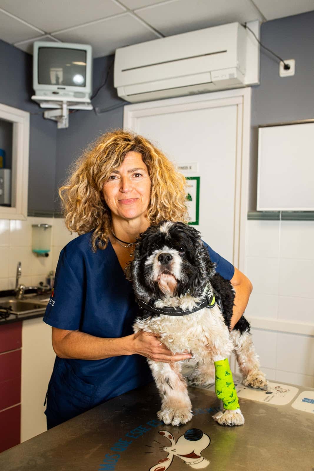 Centre Veterinari Alella