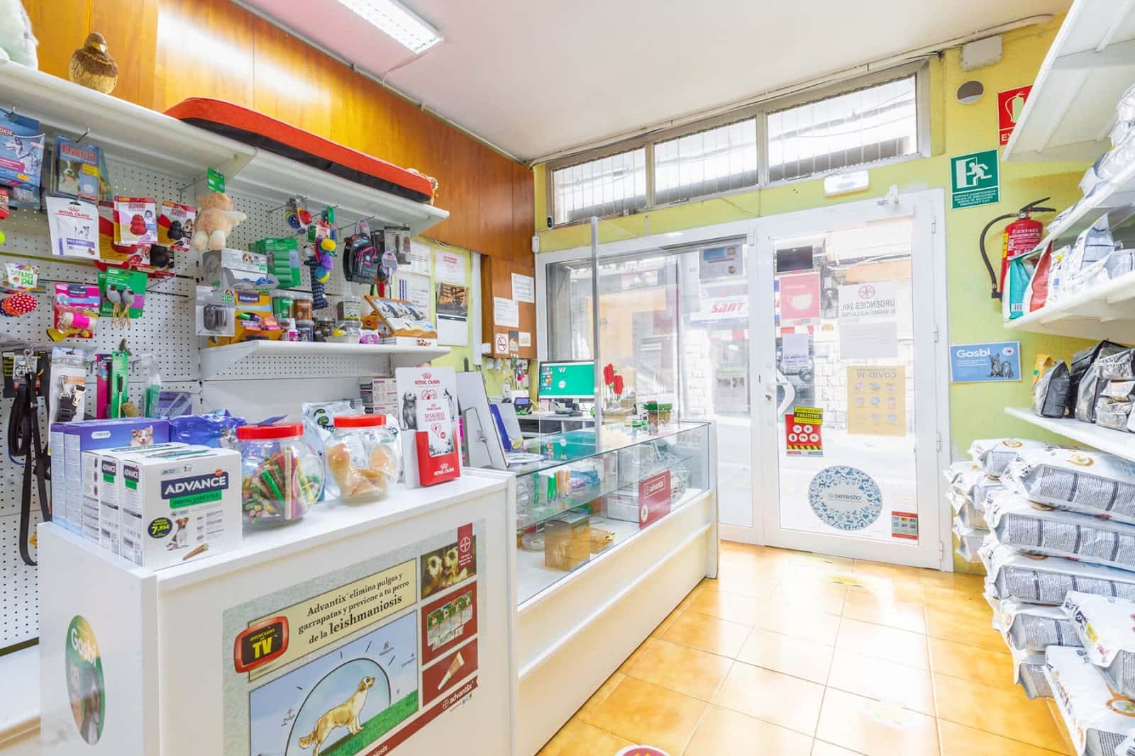 centro veterinario el masnou veterinario centro en el masnou en barcelona photo undefined ADOPTA Sitios Pet Friendly
