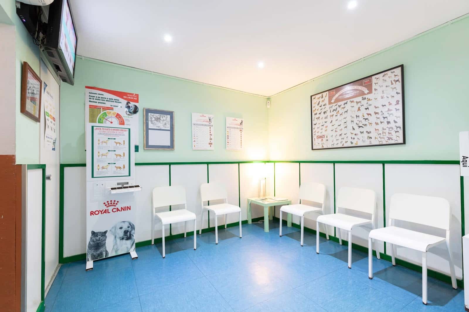 Centro Veterinario El Masnou