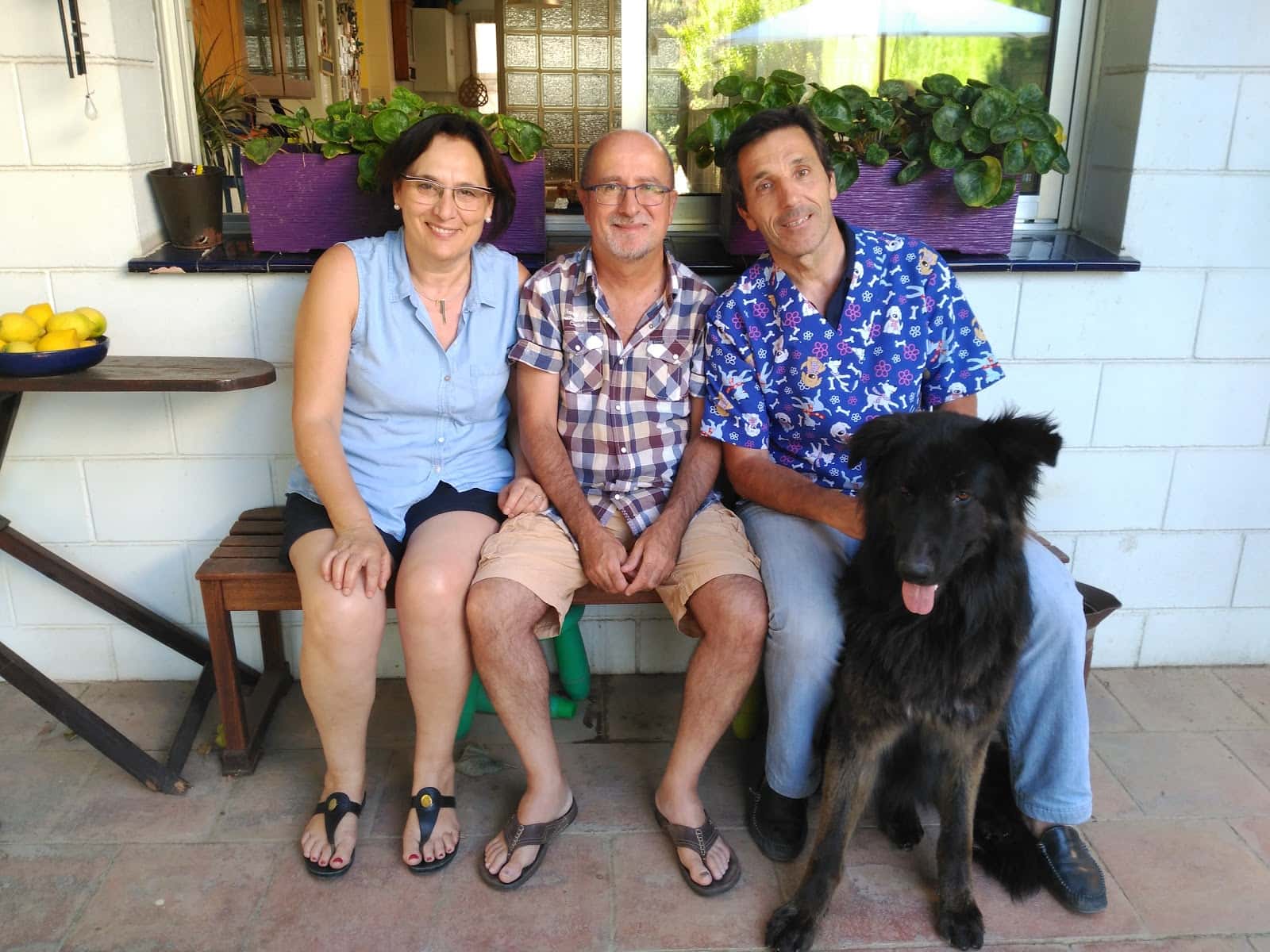 Veterinario Parets