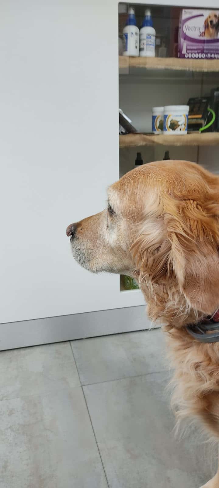 Clínica Veterinaria Progrés