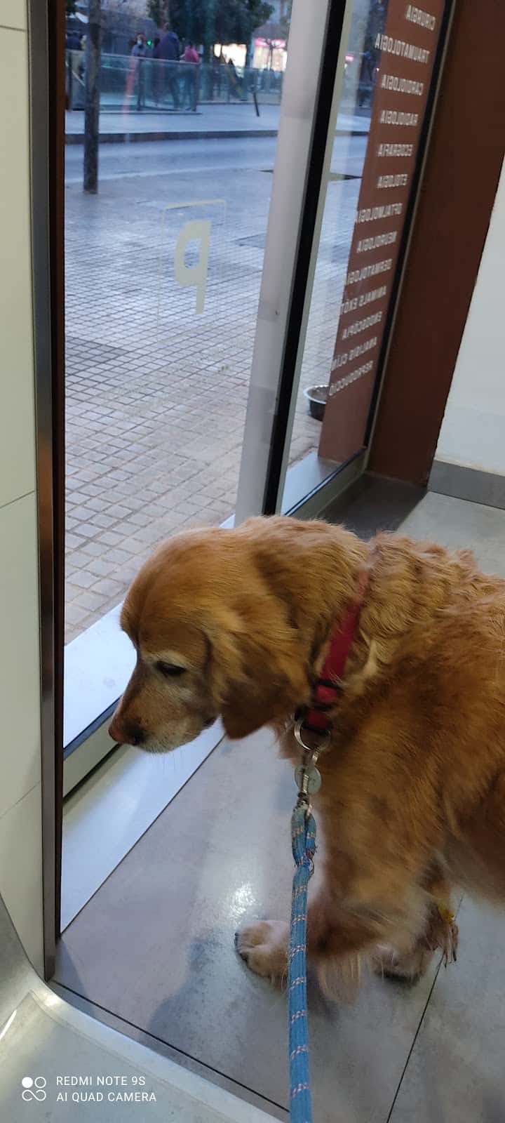 Clínica Veterinaria Progrés