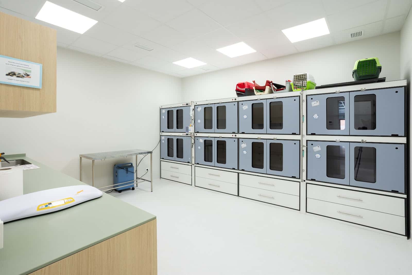 Hospital Veterinari Abat Marcet