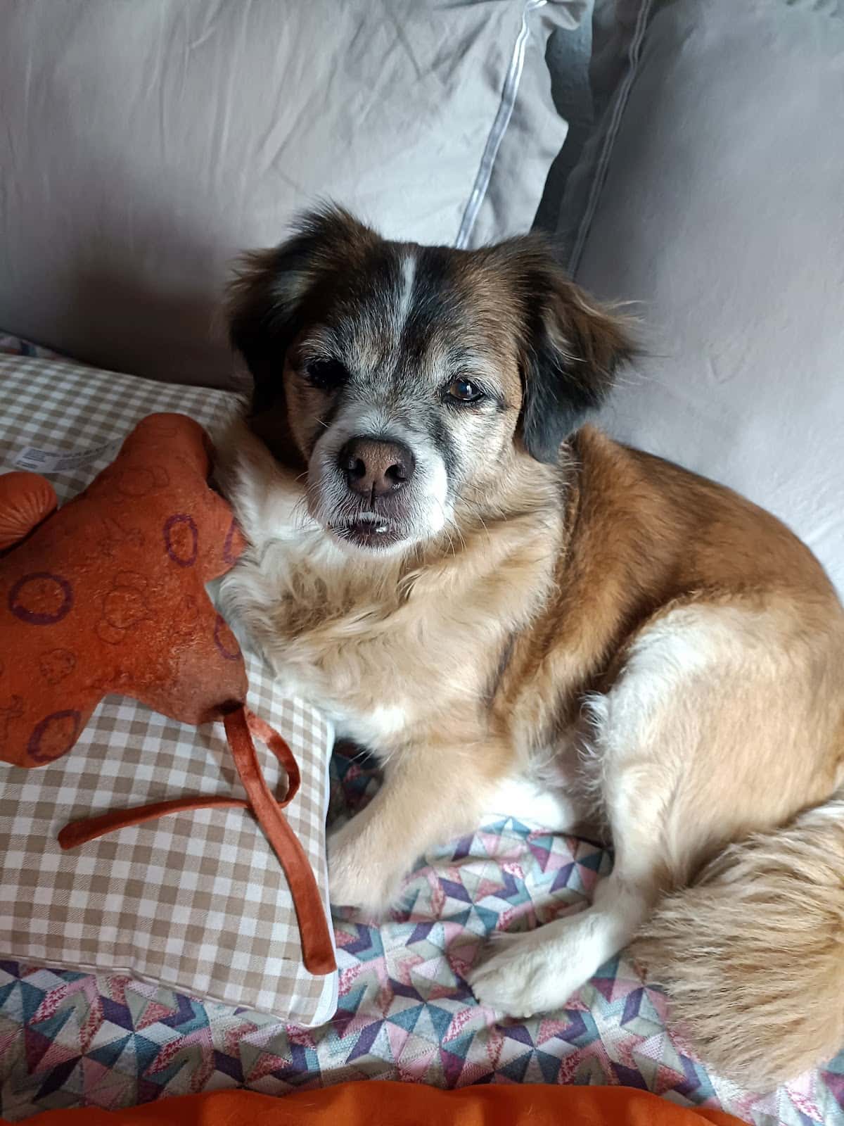 CENTRO VETERINARIO CANTABRIA