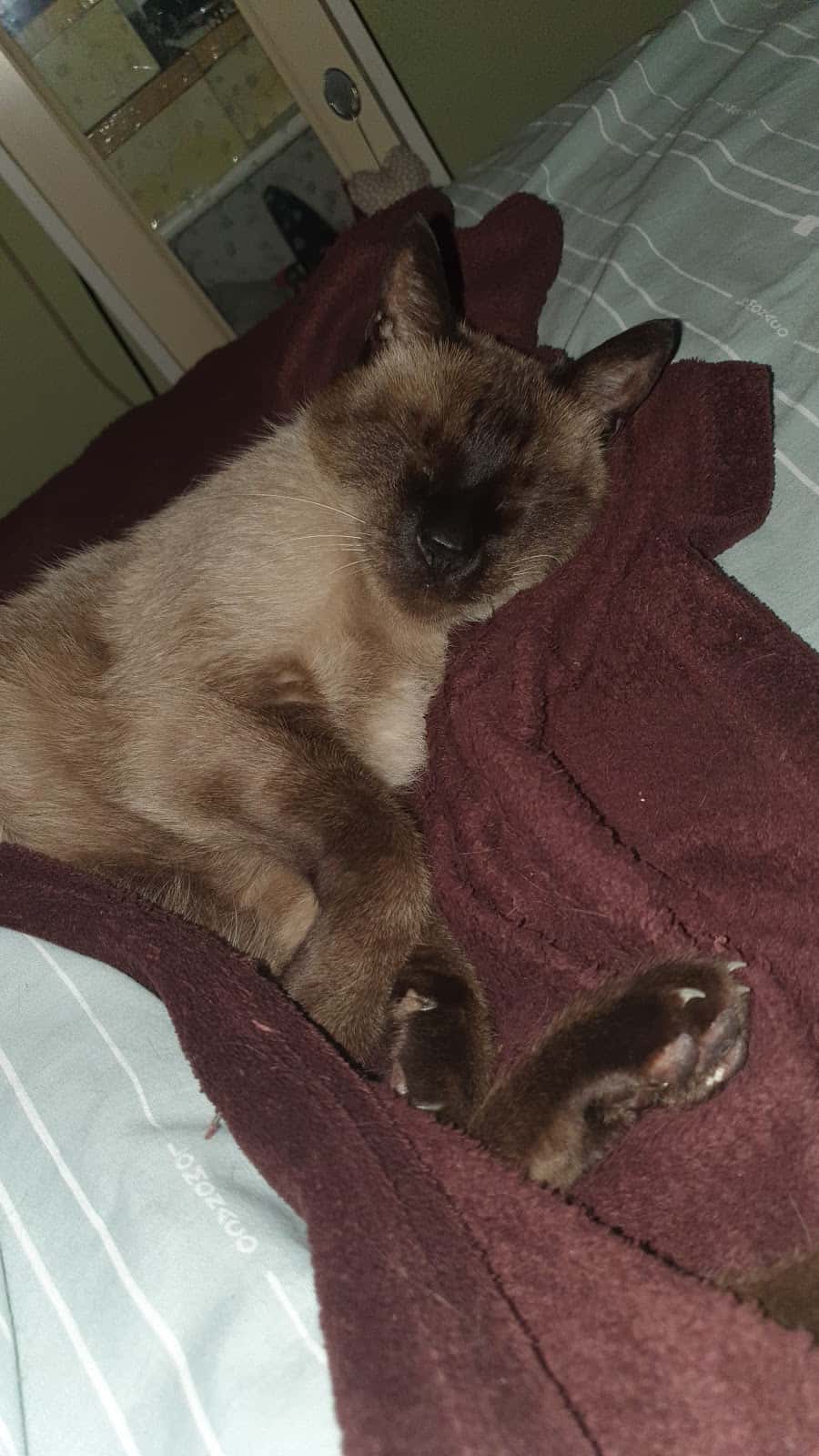 CENTRO VETERINARIO CANTABRIA