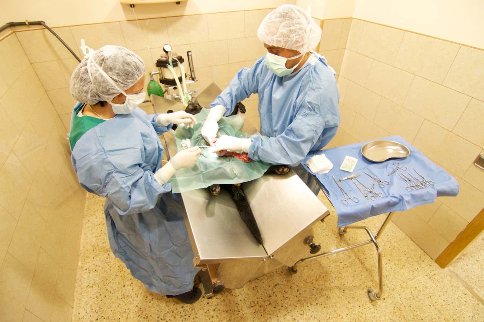 Centre Veterinari Minos