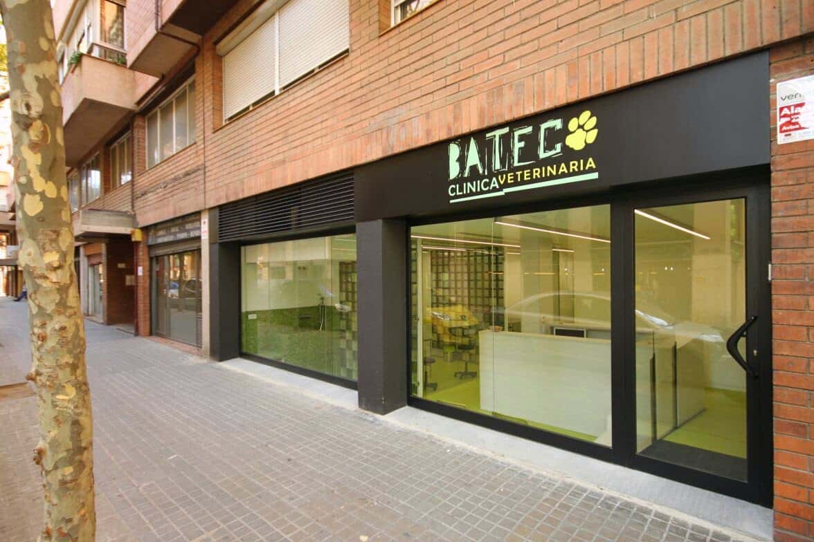 clinica veterinaria batec veterinario clinica barrio sant andreu en barcelona en barcelona photo undefined ADOPTA Sitios Pet Friendly