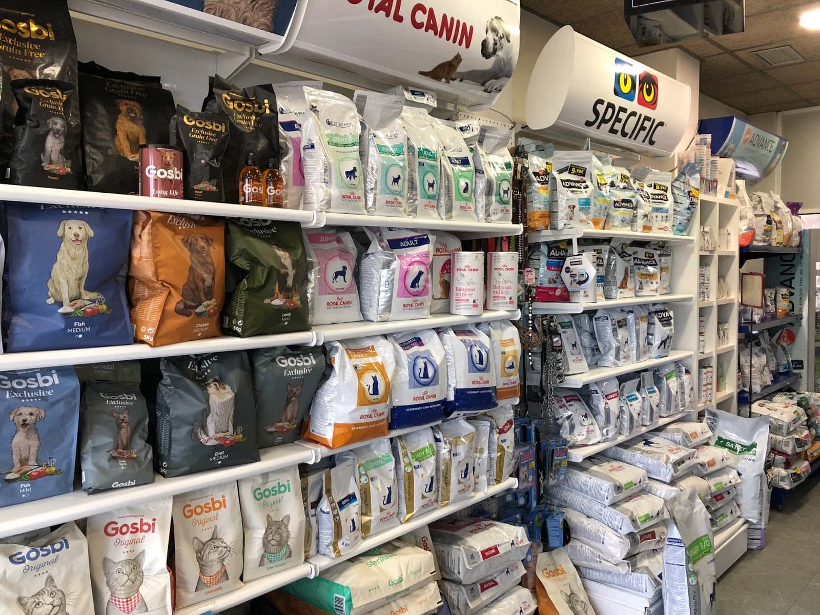 Clinics Veterinaria